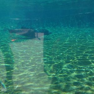 Meet your Posher, Modesto